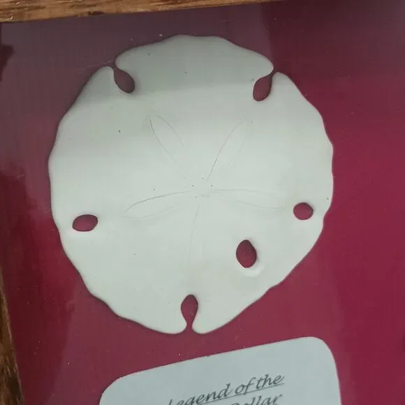 VNT Legend Of The Sand Dollar Maplewood Frame RED Shadowbox Decor Art Coastal